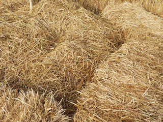 Stacked hay bales for background