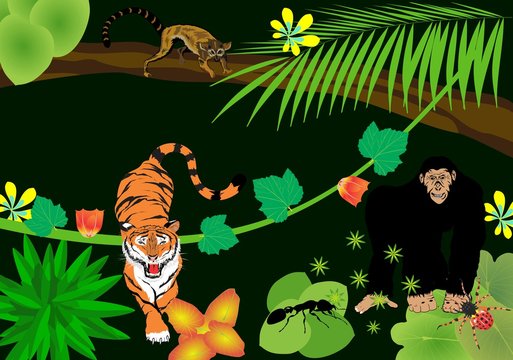 Tiger walking in tropical rainforest, gorilla ape, lemur and insects, vector illustration