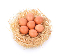 eggs in a nest on white background