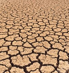 Dry cracked earth background