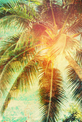 Plakaty  Tropikalna Palma Niebo Toned Shabby Effect Wakacje