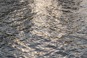 Sunlight reflecting waters
