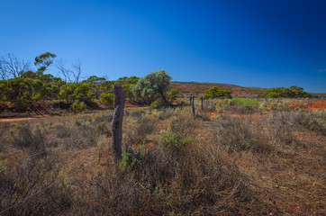 Rusty barbed wire fence wooden poles Australian Outback