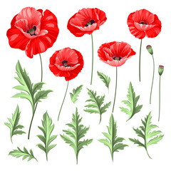 Obraz premium Wedding flowers bundle.