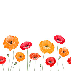 Fototapeta na wymiar Pattern of poppy flowers.