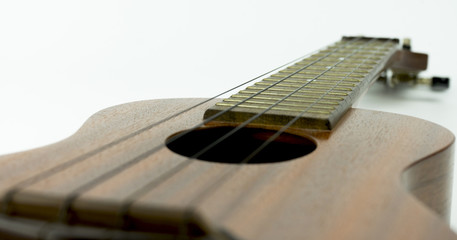 Ukulele 5