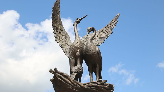 The memory of the swans