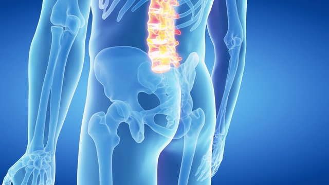 medical 3d animation of the lumbar spine 