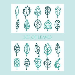 Hand drawn set made in vector. Leaves. Set for design, pattern, textiles, cards, invitations, wedding or baby shower albums, backgrounds, arts and scrapbooks.
