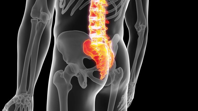 medical 3d animation of the human spine 
