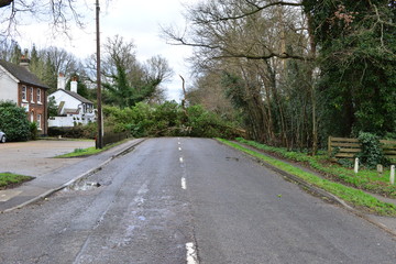 Fototapeta na wymiar The Balcombe road blocked on the morning after Storm katie
