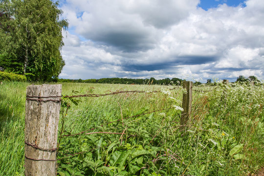 Feldrand mit Zaun und Wolken