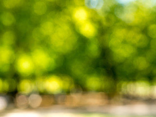 Out of focus green bokeh