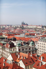 Fototapeta na wymiar view of the city of Prague from the top
