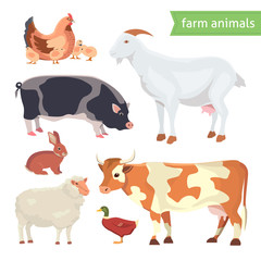 Cartoon Vector Illustration Set of  Farm Animals isolated on White