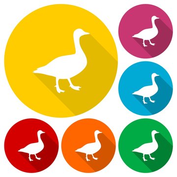 The silhouette of a goose icons set with long shadow