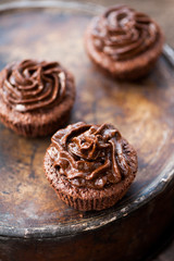 Chocolate cupcakes