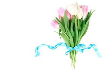 beautiful tulips tied with a blue ribbon on a white isolated background