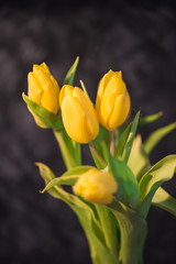 Beautiful spring yellow tulips in a vase