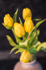 Beautiful spring yellow tulips in a vase