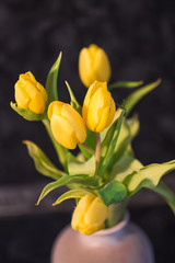 Beautiful spring yellow tulips in a vase