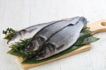 Seabass