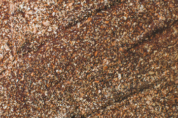 Close up of crust of the rye bread