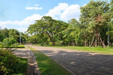 park