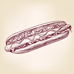 hot dog fast food,hand drawn vector illustration realistic sketch