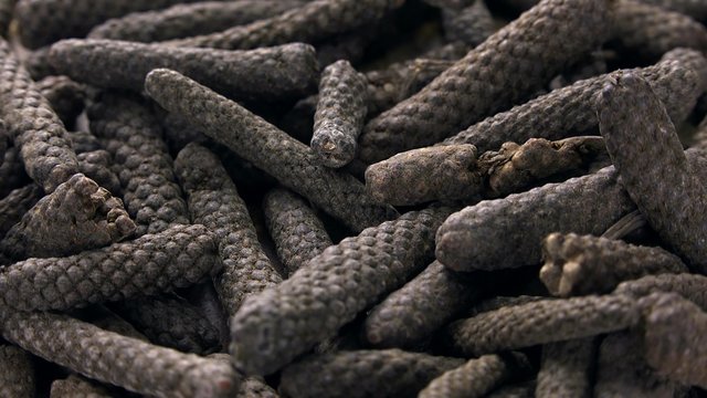 Long Pepper as seamless loopable 4K UHD footage