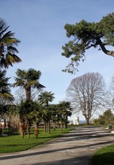 jardin du parc mauresque à Arcachon
