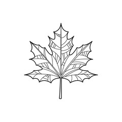 Maple Leaf Zentangle For Coloring