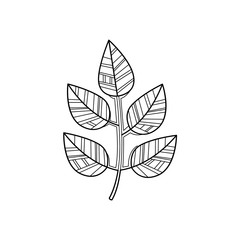 Branch Zentangle For Coloring