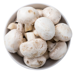Mushrooms isolated on white