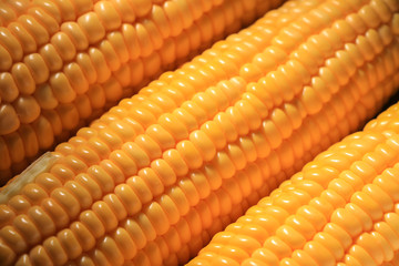Fresh corn cereal close-up