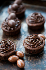 Chocolate cupcakes with chocolate frosting