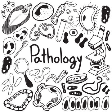 Pathology biology doodle handwriting icons of germ and pathogen for human disease such as virus, bacteria, fungus, amoeba, and Protozoa in white isolated paper background for education (vector) 