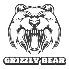 Bear head logo. Grizzly bear icon with logo. Vector illustration