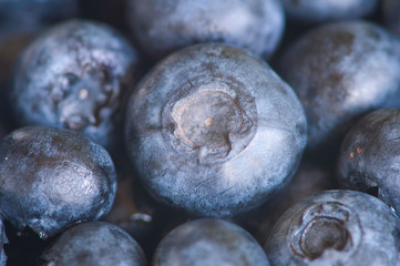 Blueberries supermacro