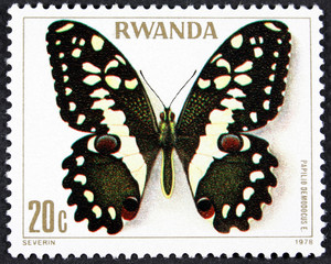 Naklejka premium A stamp printed in Rwanda from the 