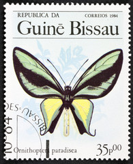  A Stamp printed in GUINEA-BISSAU shows image of a butterfly Paradise birdwing - ornithoptera...