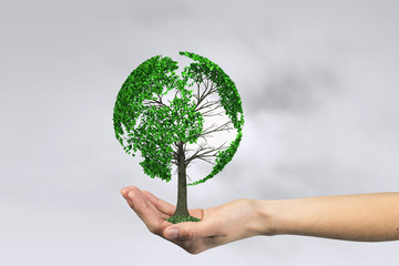 Green eco life 