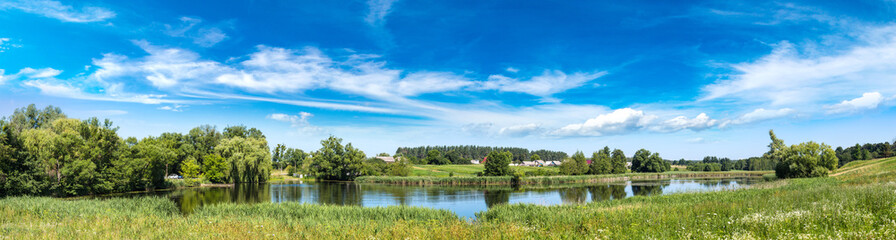 Calm pond and water plants