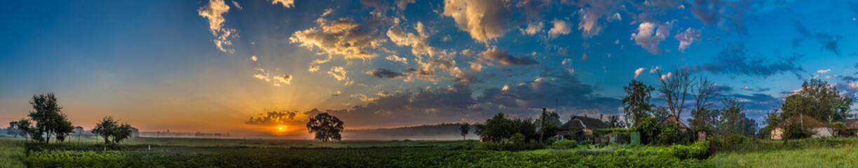 Beautiful sunrise and tree
