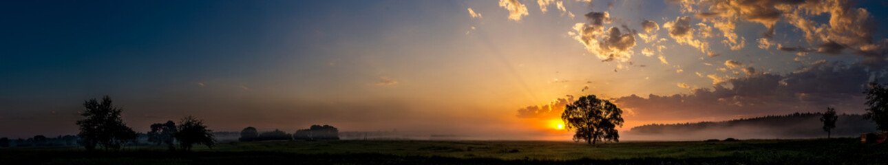 Beautiful sunrise and tree