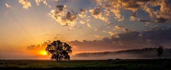 Fototapeta premium Beautiful sunrise and tree