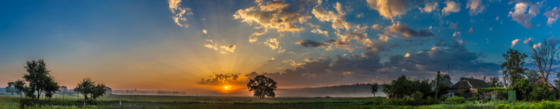 Fototapeta Beautiful sunrise and tree