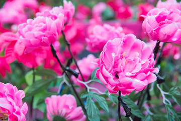 Artificial rose for home decoration.