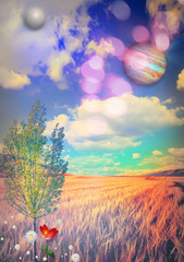 Corn fied,flowers  and tree © Rosario Rizzo