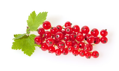 Red currant with green leaves isolated on white background